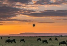 7 Best Places to Travel in August best-places-to-travel-in-august-tanzania