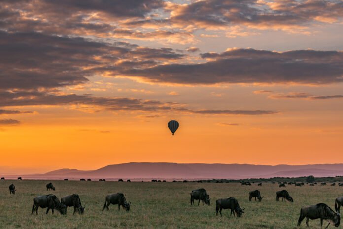 best-places-to-travel-in-august-tanzania